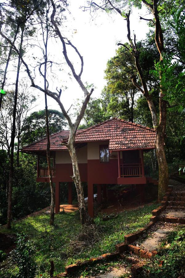 Terrace Resorts Wayanad Esterno foto